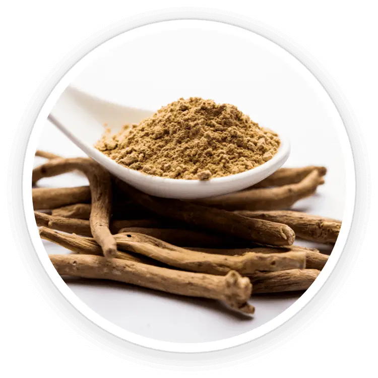 Quietum Plus Ashwagandha and Piperine ingredients